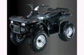 2010 E-Ton Challenger 150 CXL-150 photo